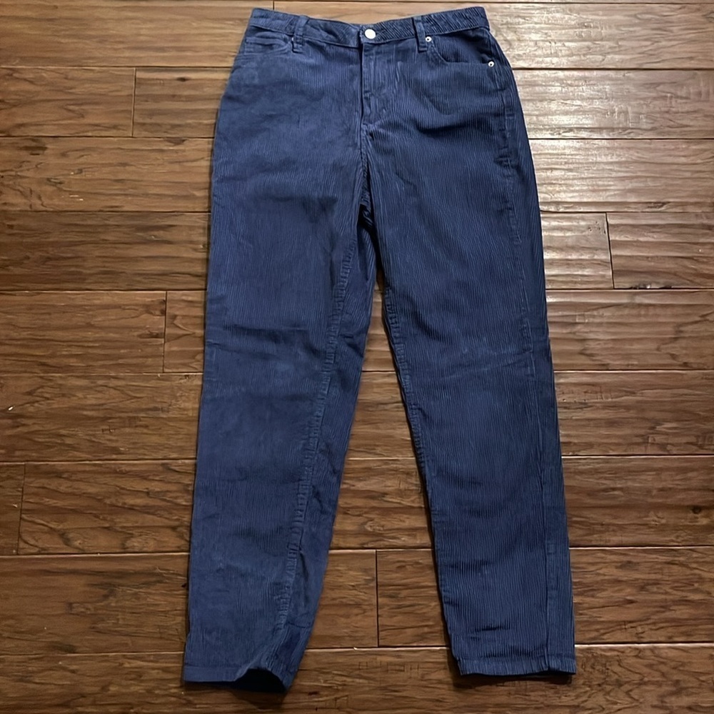 BDG Urban Outfitters Mom High Rise Corduroy Blue Pants Size 28